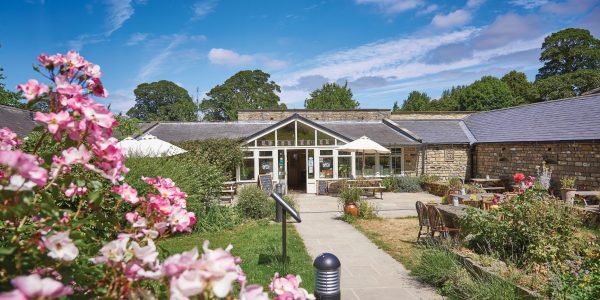 Jervaulx Abbey Tearooms